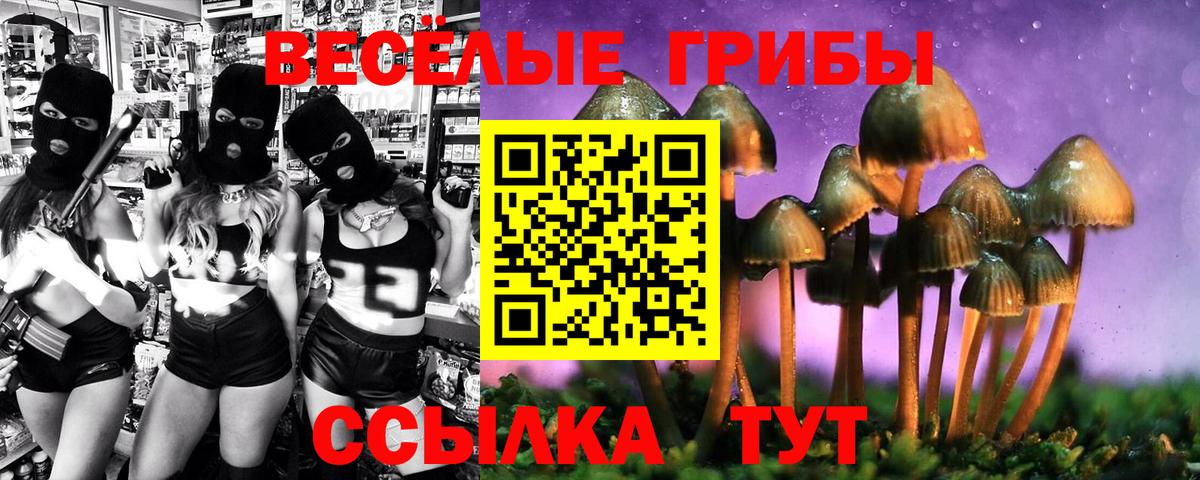 Галлюциногенные грибы MAGIC MUSHROOMS Кувандык